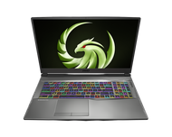 MSI Alpha 17 A4DEK-006, 17.3" 144Hz Gaming Laptop AMD Ryzen R7-4800H RX5600M 16GB 512GB NVMe SSD Win10, ALPHA17A006