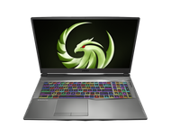 MSI Alpha 15 A4DEK-004, 15.6" 144Hz Gaming Laptop AMD Ryzen R7-4800H RX5600M 16GB 512GB NVMe SSD Win10, ALPHA15A004 