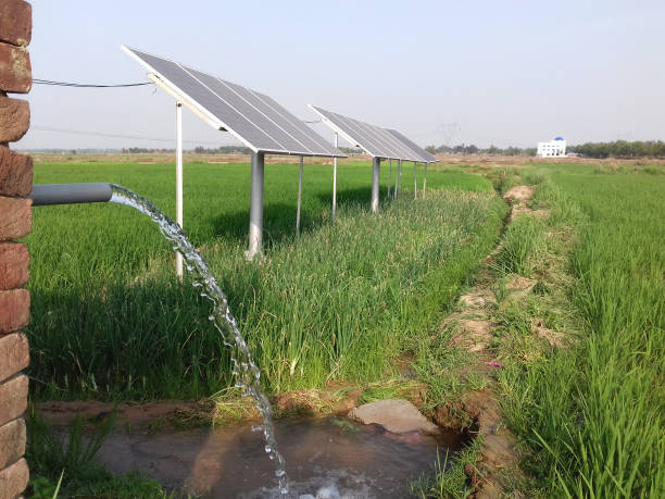 History and Evoslution of Irrigation Systems: From Ancient Canals to Smart Technology